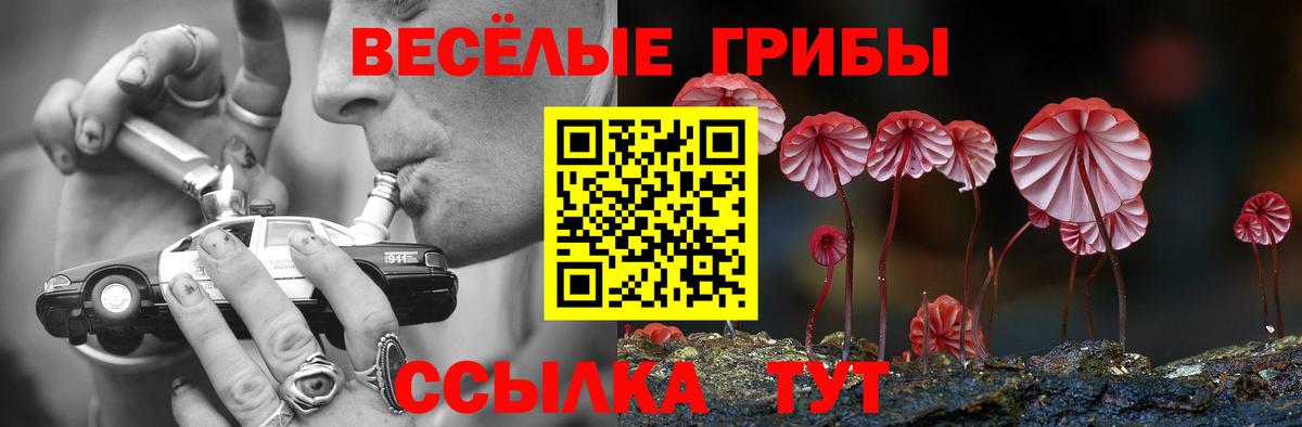 Галлюциногенные грибы мухоморы Дзержинск